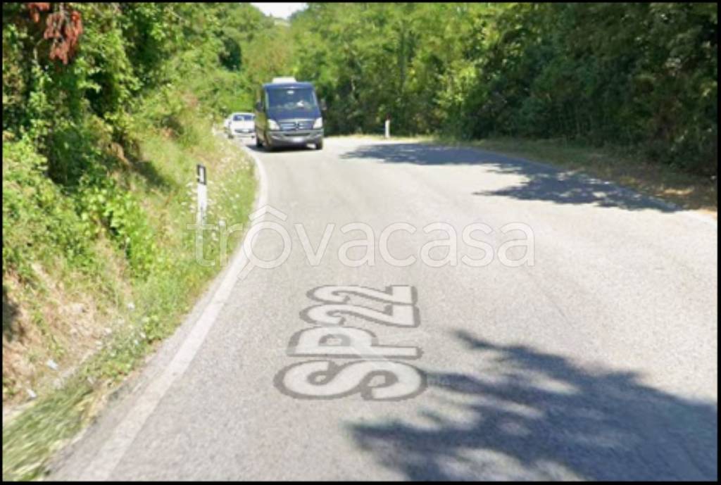 immagine annuncio 6 di 12