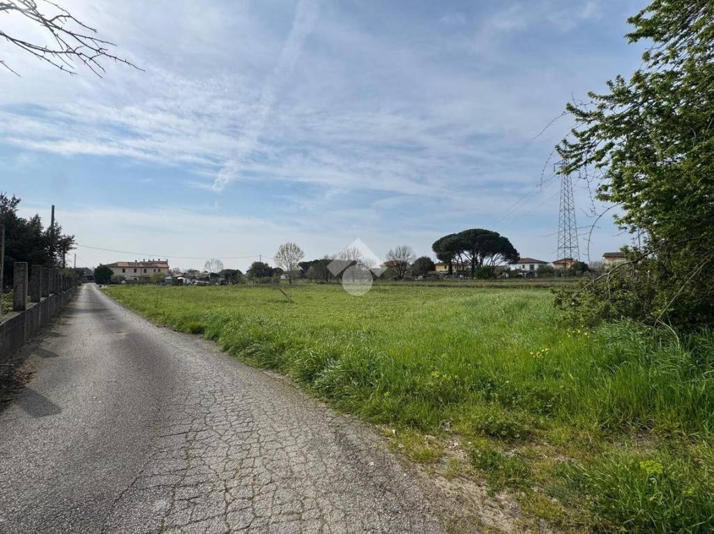 immagine annuncio 5 di 11