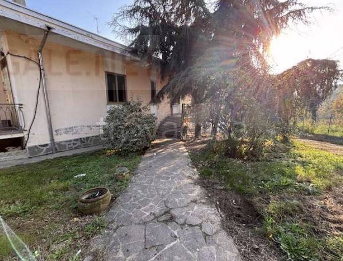 immagine annuncio 3 di 14