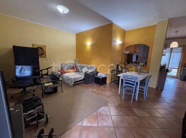 immagine annuncio 5 di 14