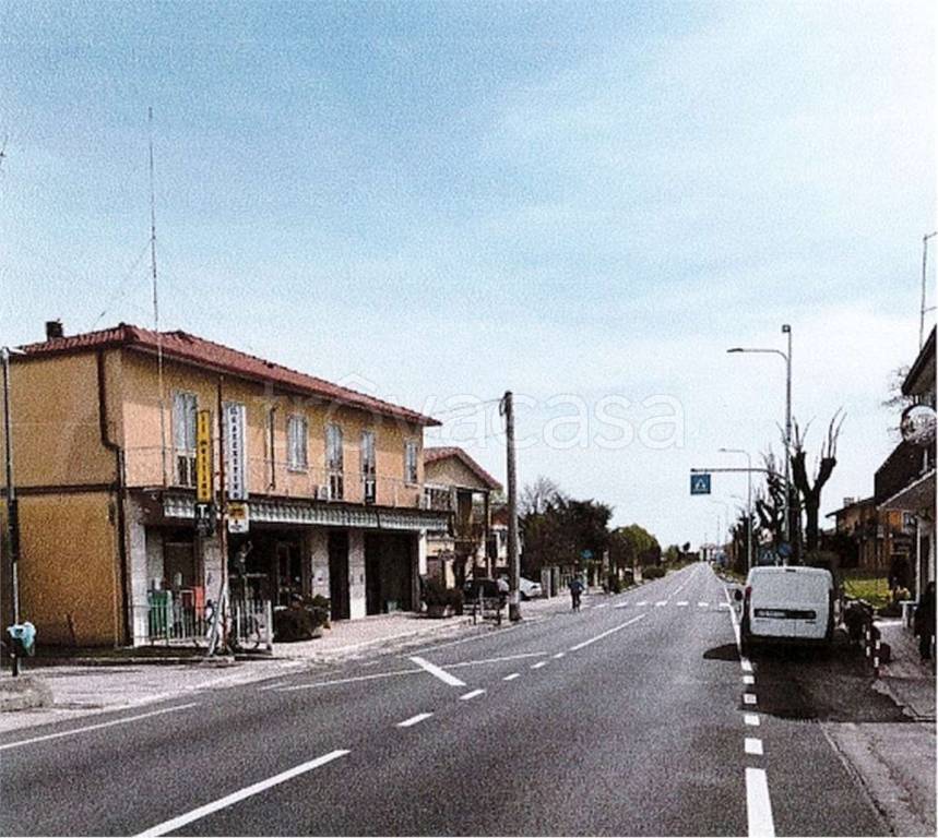 immagine annuncio 11 di 14