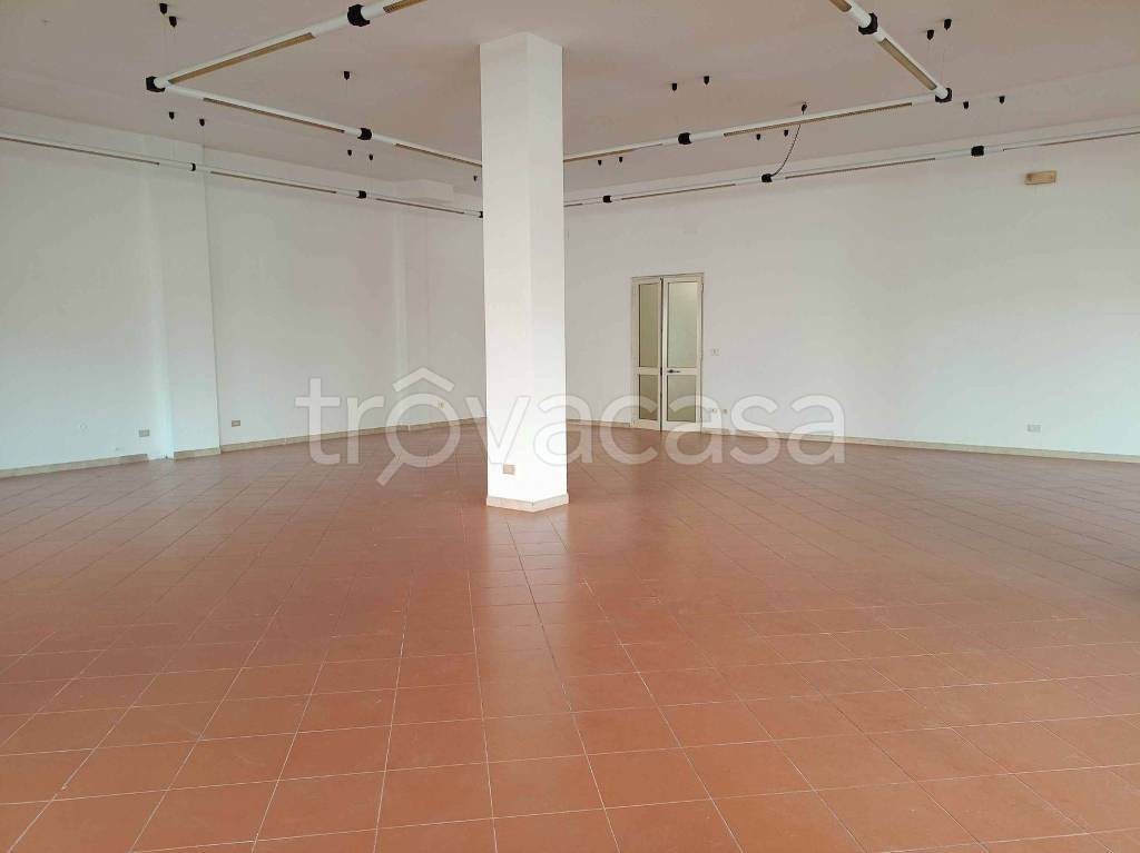 immagine annuncio 2 di 6