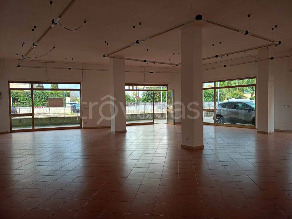 immagine annuncio 5 di 6