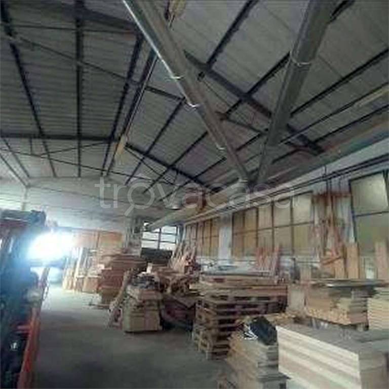 immagine annuncio 5 di 13