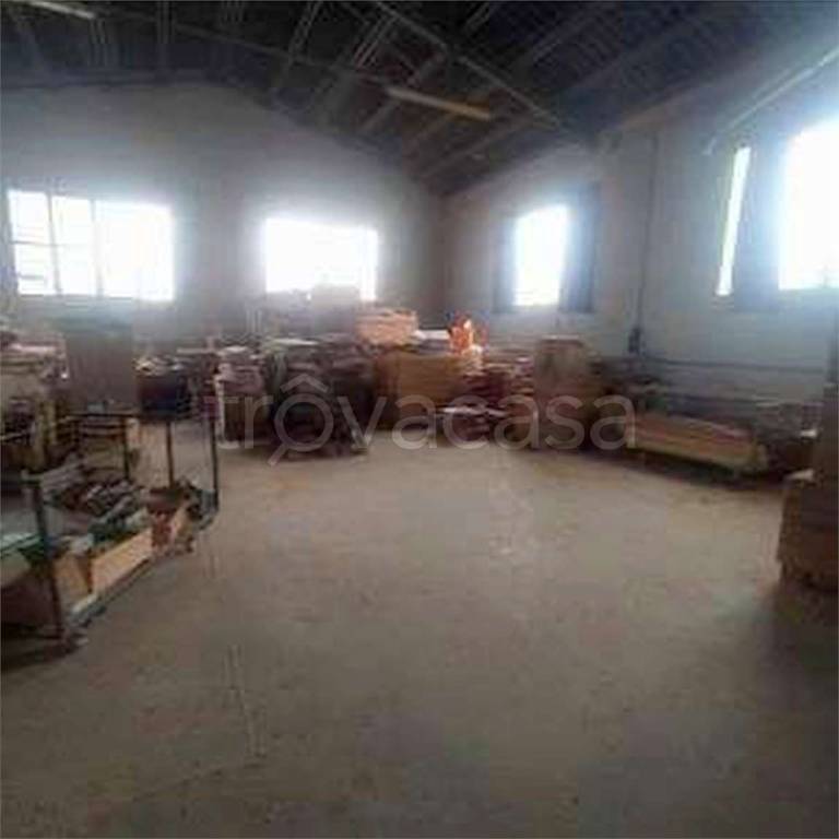 immagine annuncio 9 di 13