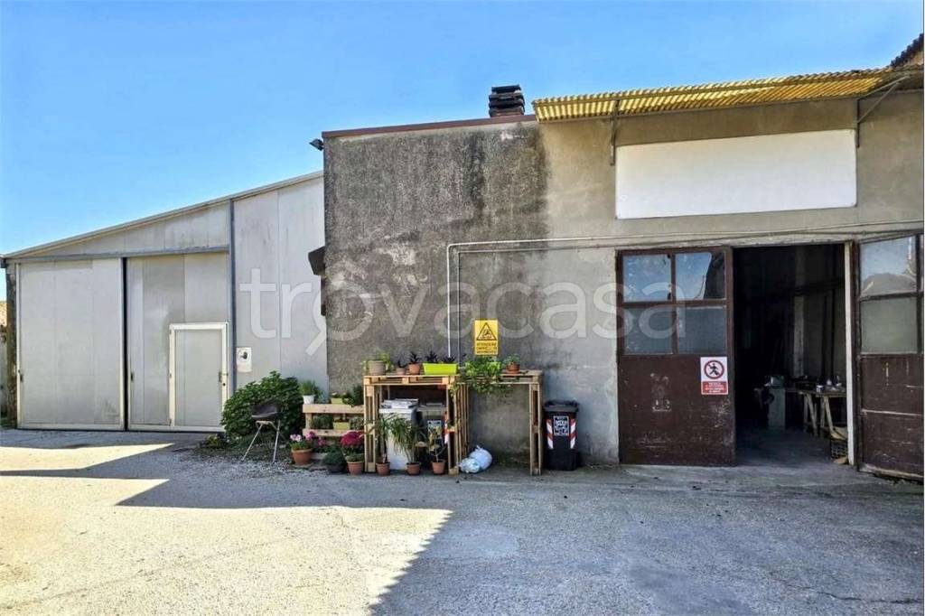 immagine annuncio 12 di 13