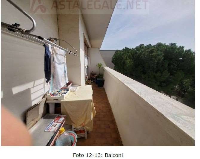 immagine annuncio 2 di 12