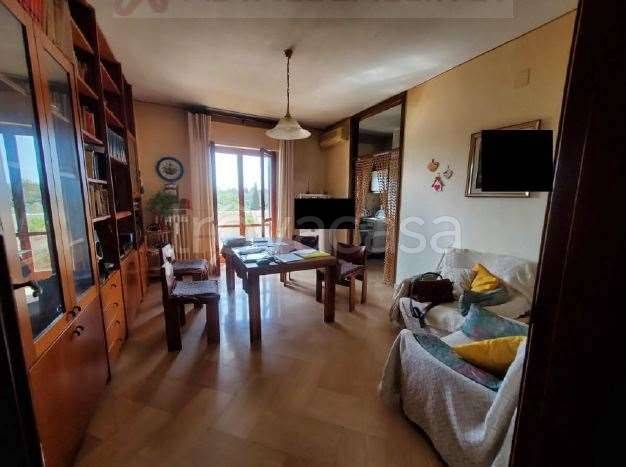 immagine annuncio 6 di 12