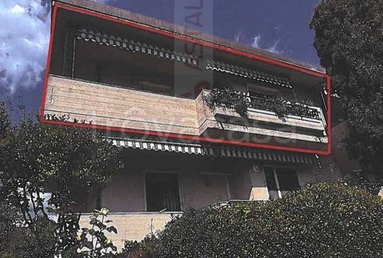 immagine annuncio 2 di 14