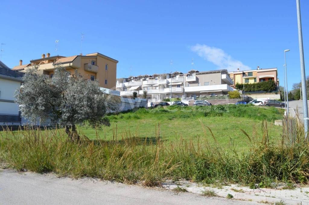 immagine annuncio 5 di 6