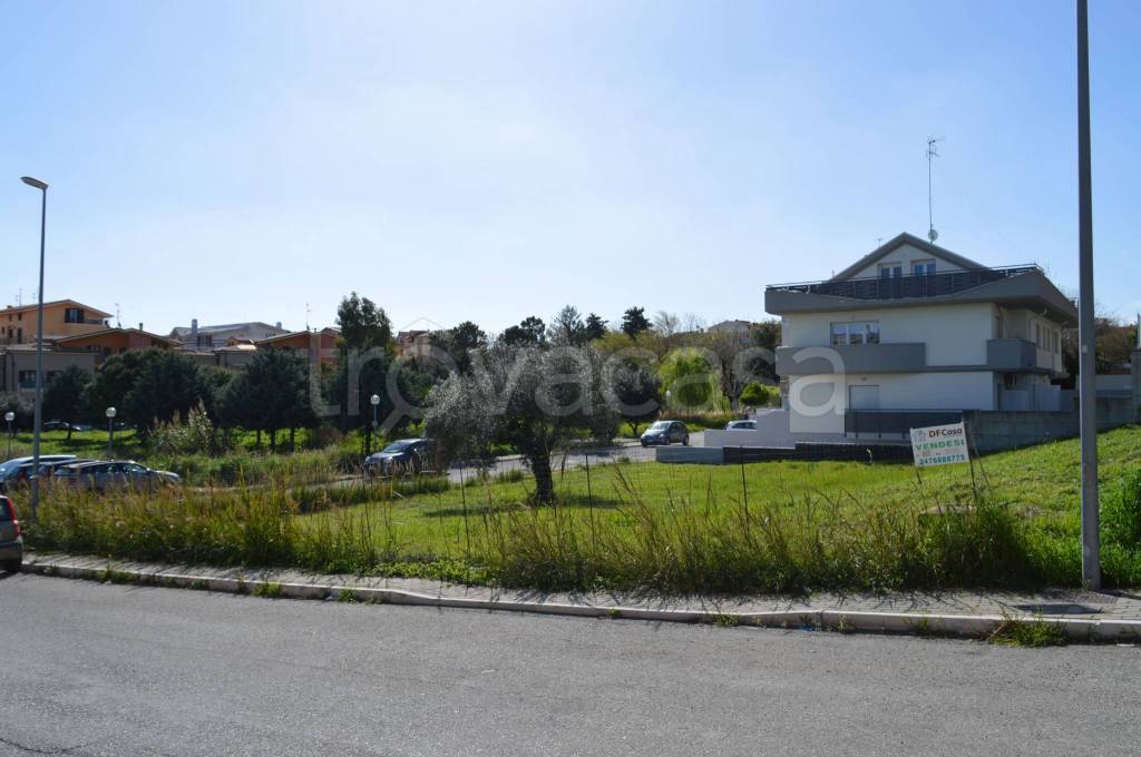 immagine annuncio 2 di 6