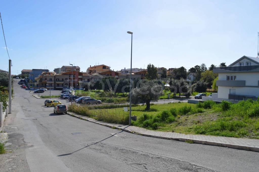 immagine annuncio 3 di 6