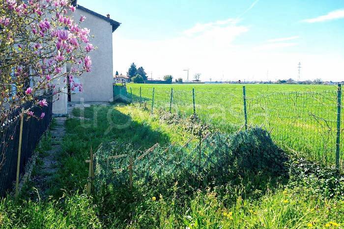 immagine annuncio 1 di 12