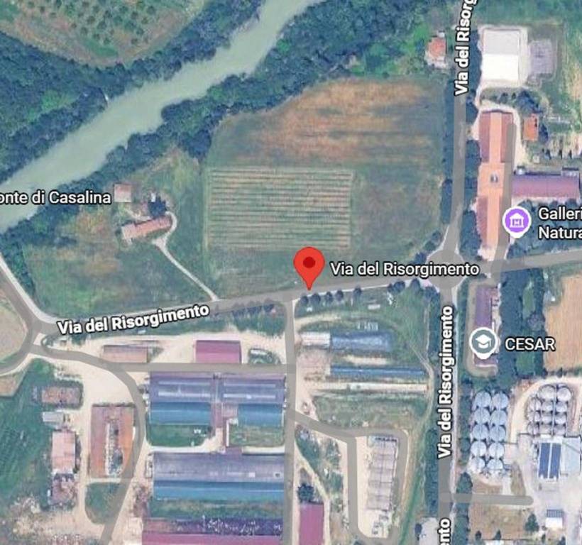 immagine annuncio 6 di 11