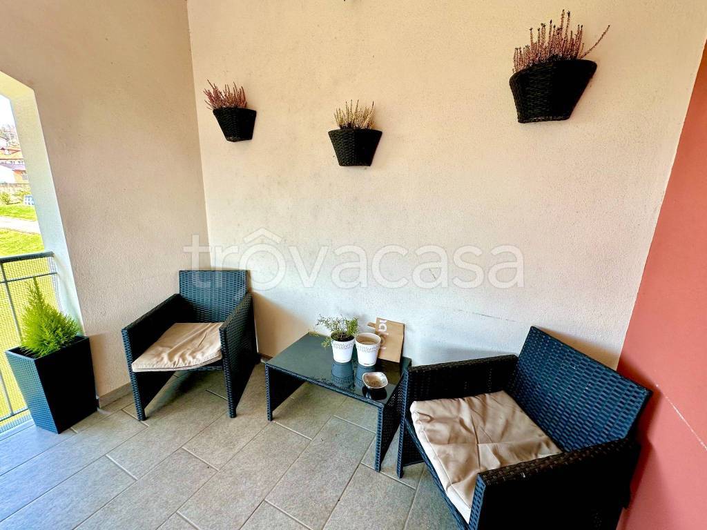 immagine annuncio 11 di 15