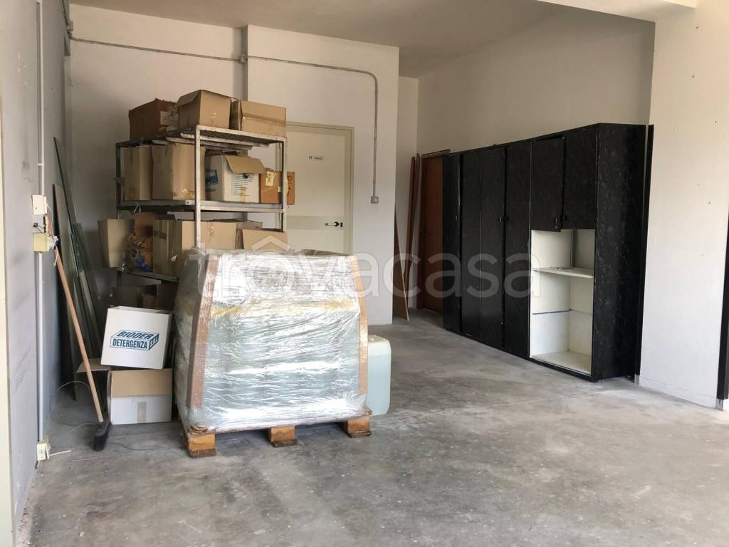 immagine annuncio 9 di 11