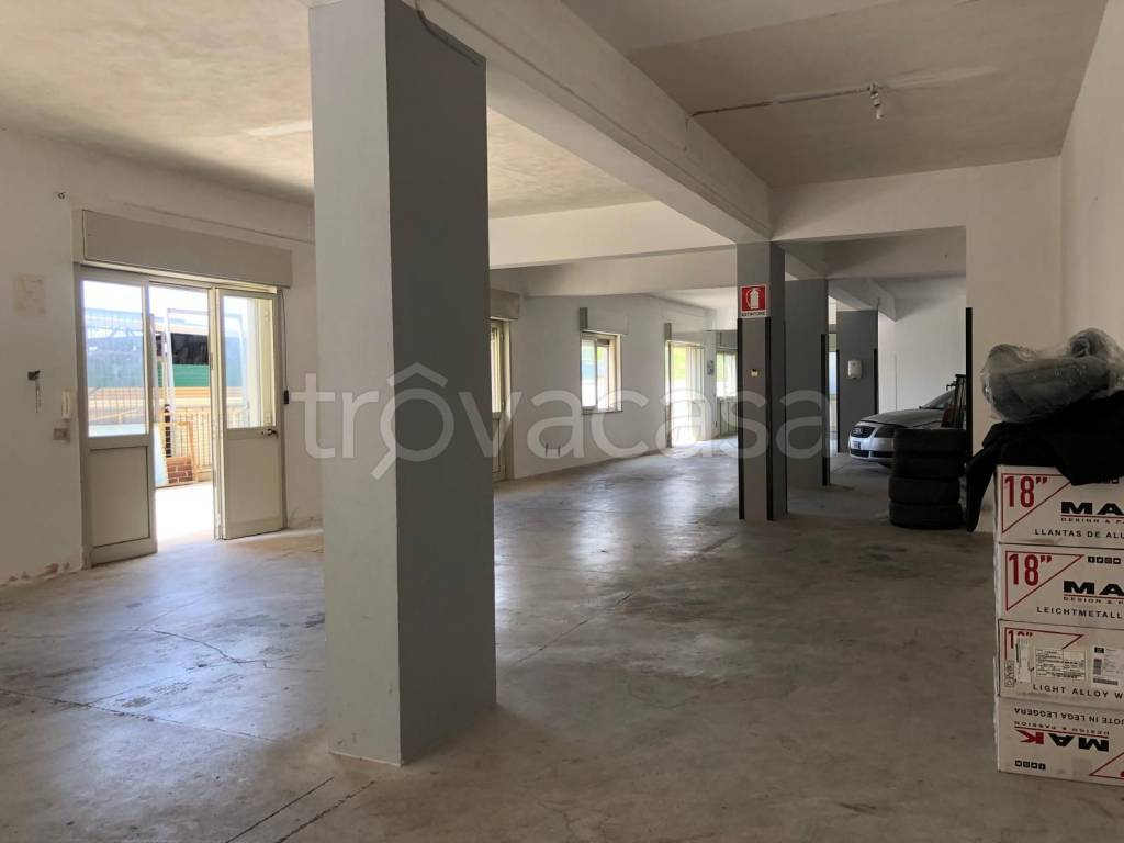 immagine annuncio 2 di 11