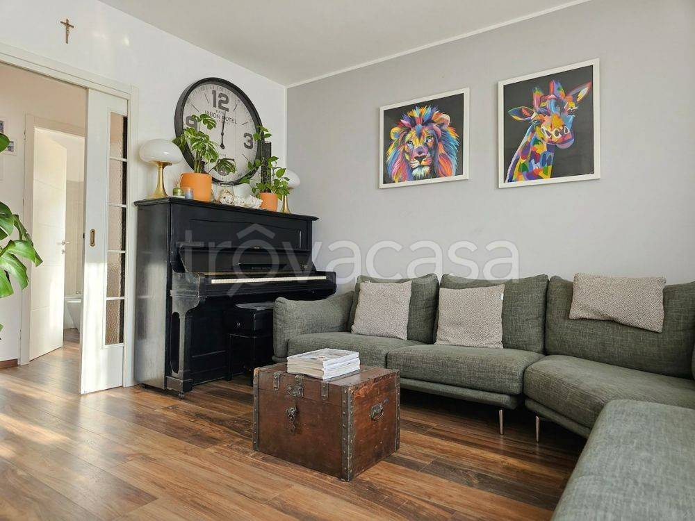 immagine annuncio 5 di 15