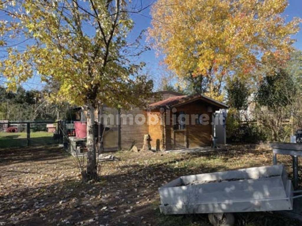 immagine annuncio 11 di 15