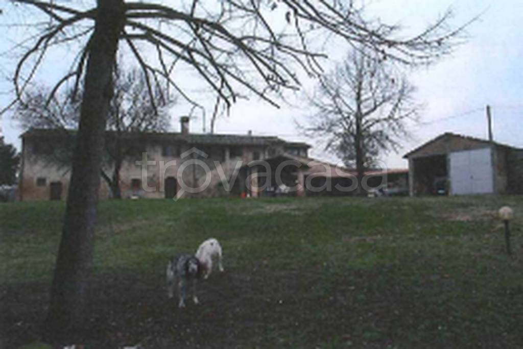 immagine annuncio 9 di 11