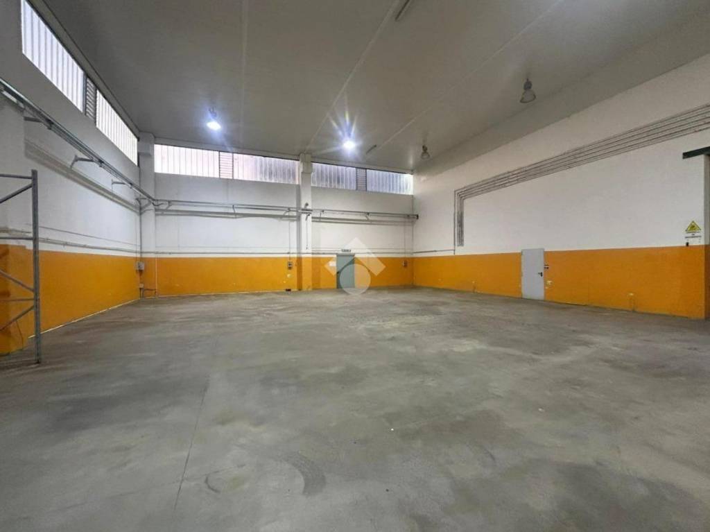 immagine annuncio 1 di 11