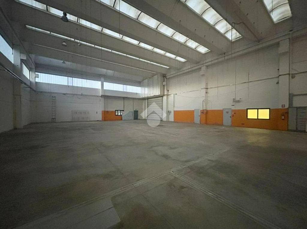 immagine annuncio 2 di 11