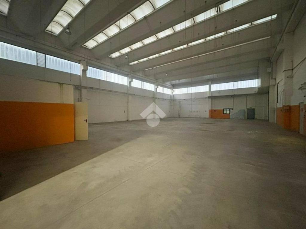 immagine annuncio 3 di 11