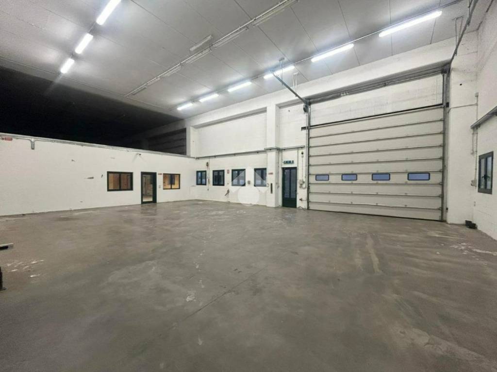 immagine annuncio 4 di 11