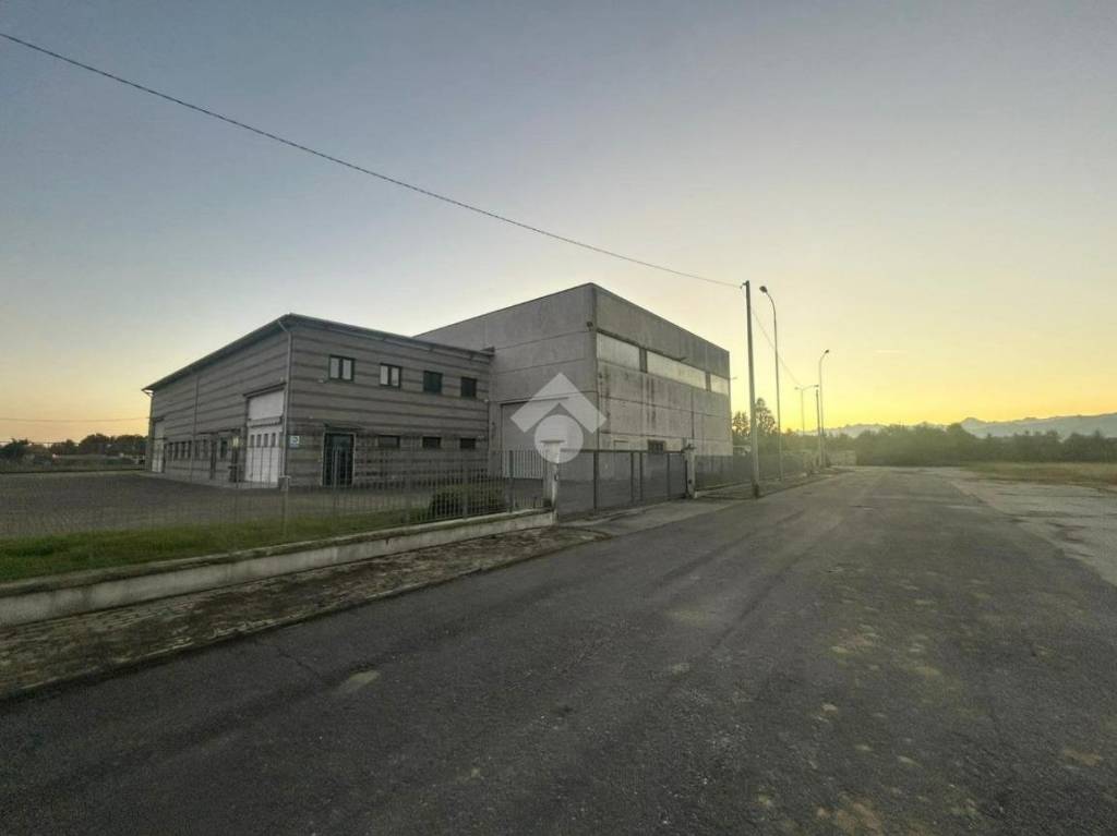 immagine annuncio 7 di 11