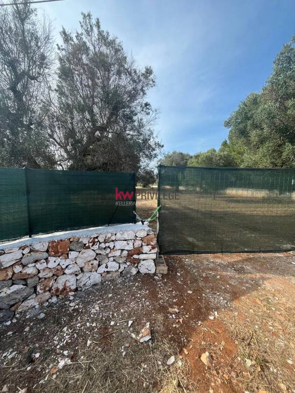 immagine annuncio 8 di 9