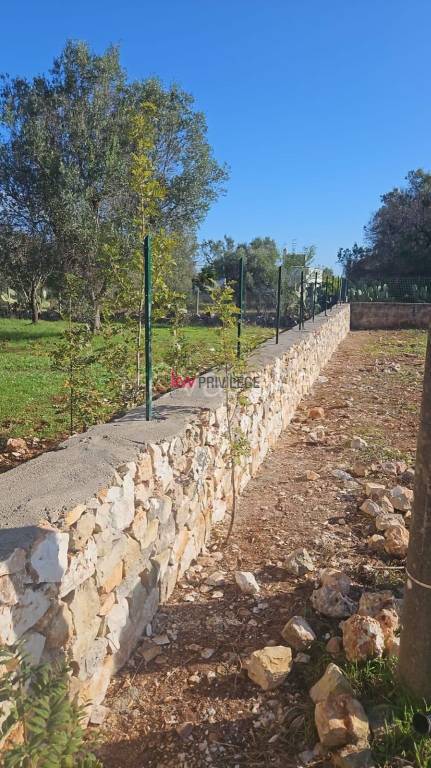 immagine annuncio 7 di 9