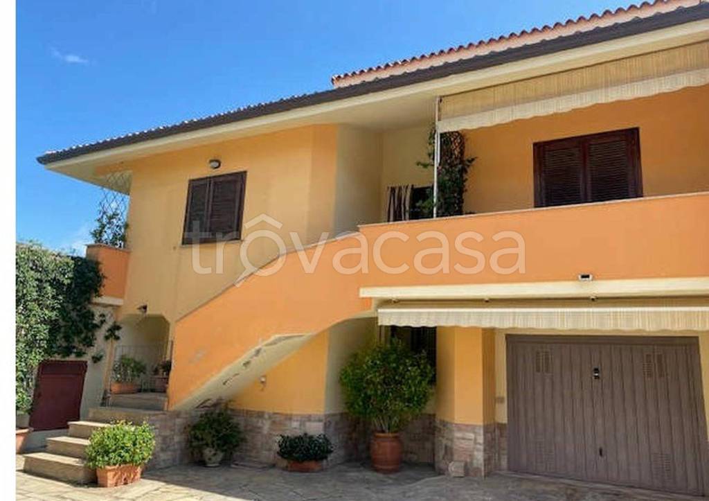 immagine annuncio 5 di 11