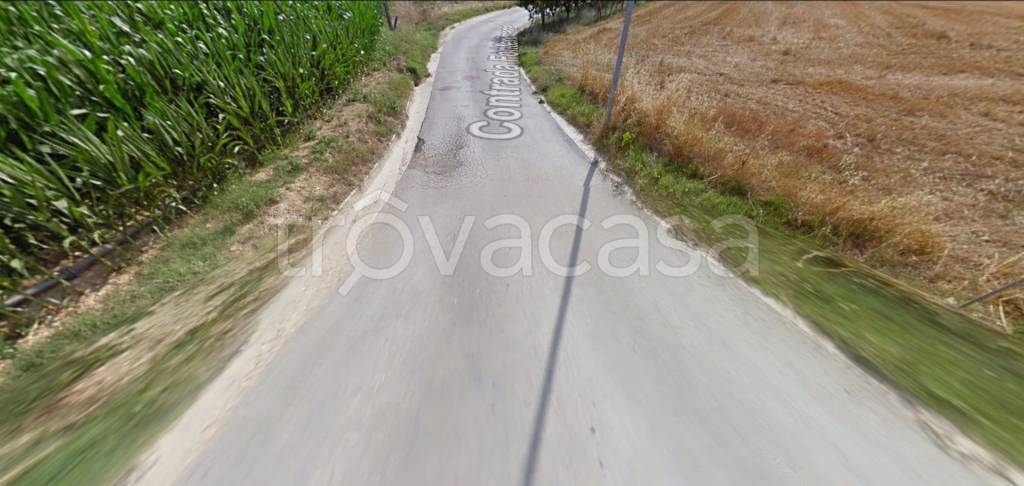 immagine annuncio 7 di 12