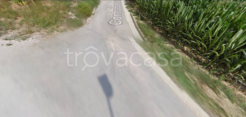 immagine annuncio 9 di 12