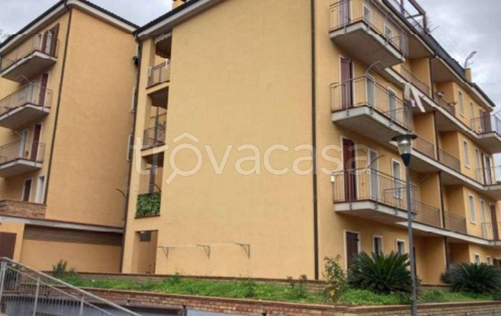 immagine annuncio 4 di 11