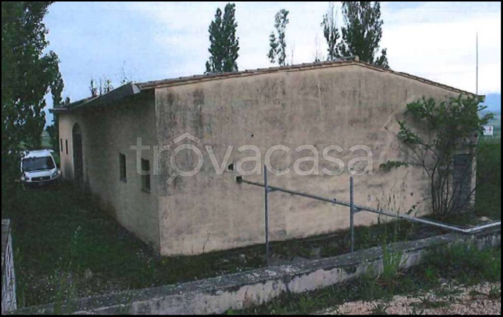 immagine annuncio 4 di 12