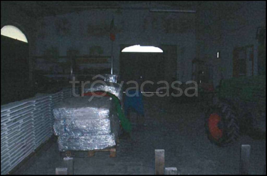 immagine annuncio 9 di 12