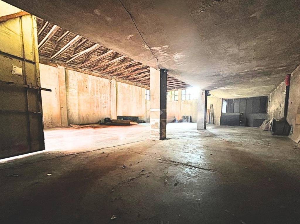 immagine annuncio 4 di 11