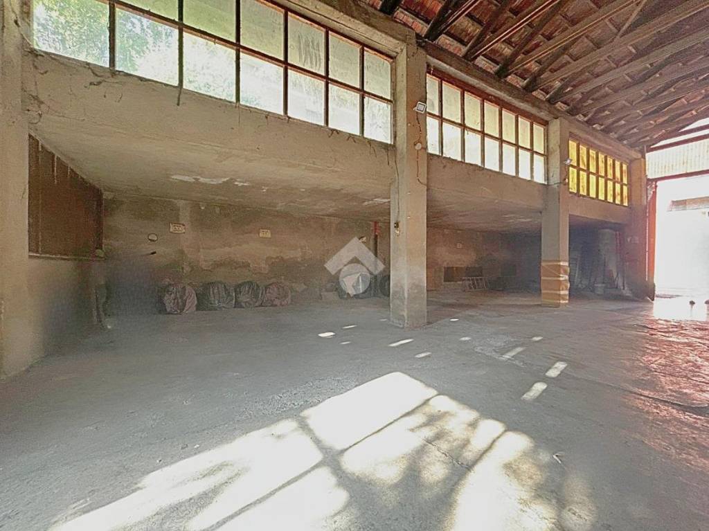 immagine annuncio 6 di 11