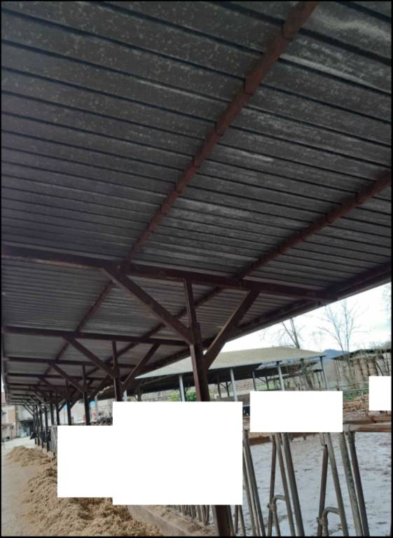 immagine annuncio 6 di 11