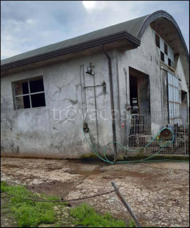 immagine annuncio 4 di 11