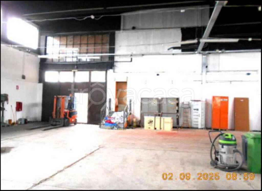 immagine annuncio 10 di 15