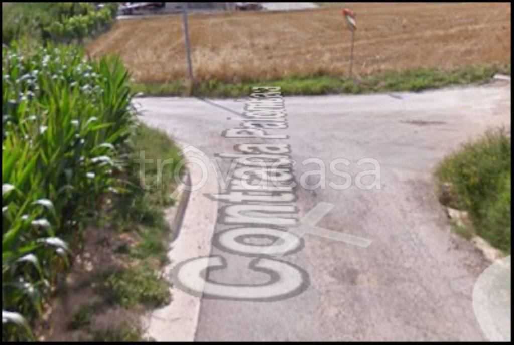 immagine annuncio 9 di 12