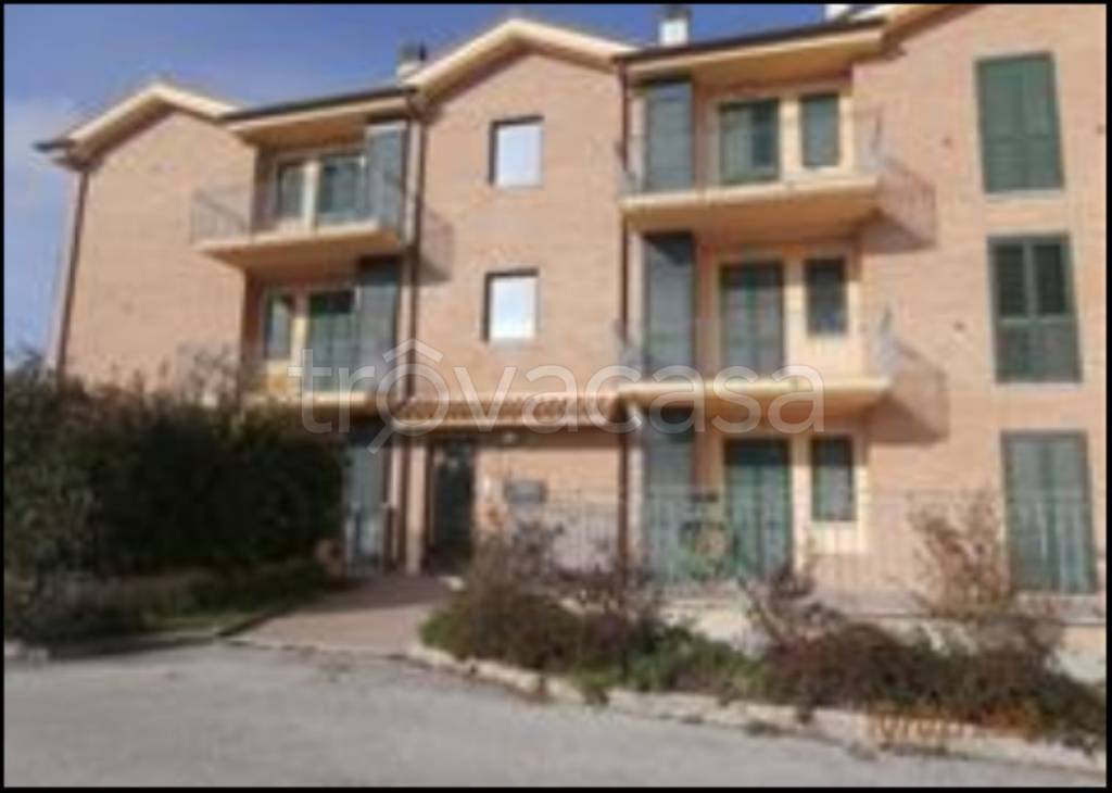 immagine annuncio 2 di 12