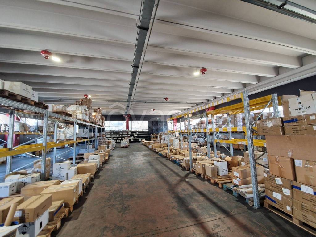 immagine annuncio 9 di 15