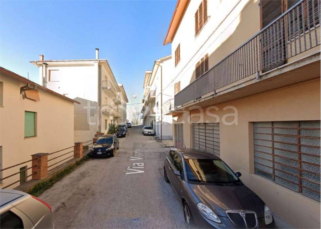 immagine annuncio 4 di 12