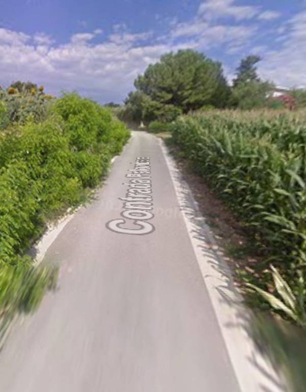 immagine annuncio 9 di 11