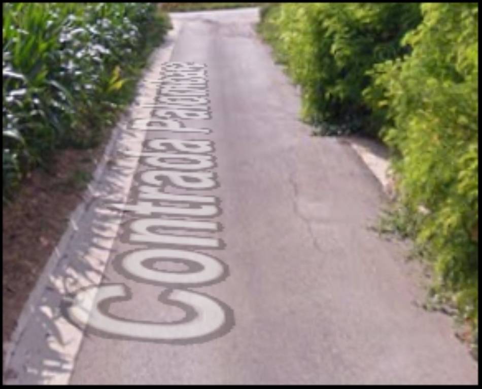 immagine annuncio 9 di 12