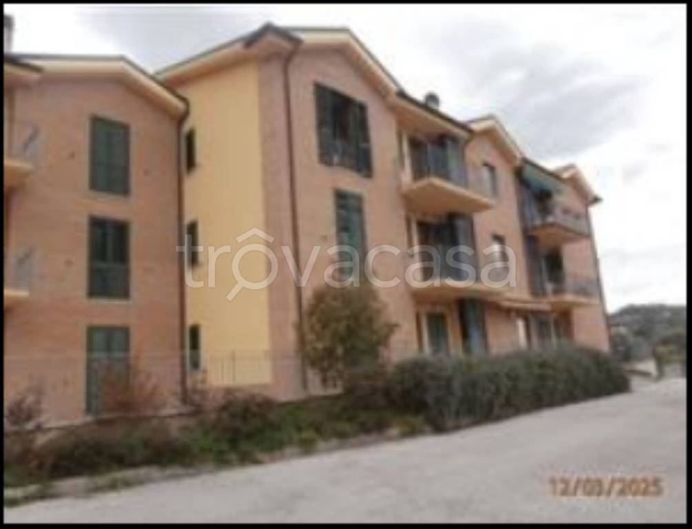 immagine annuncio 2 di 12