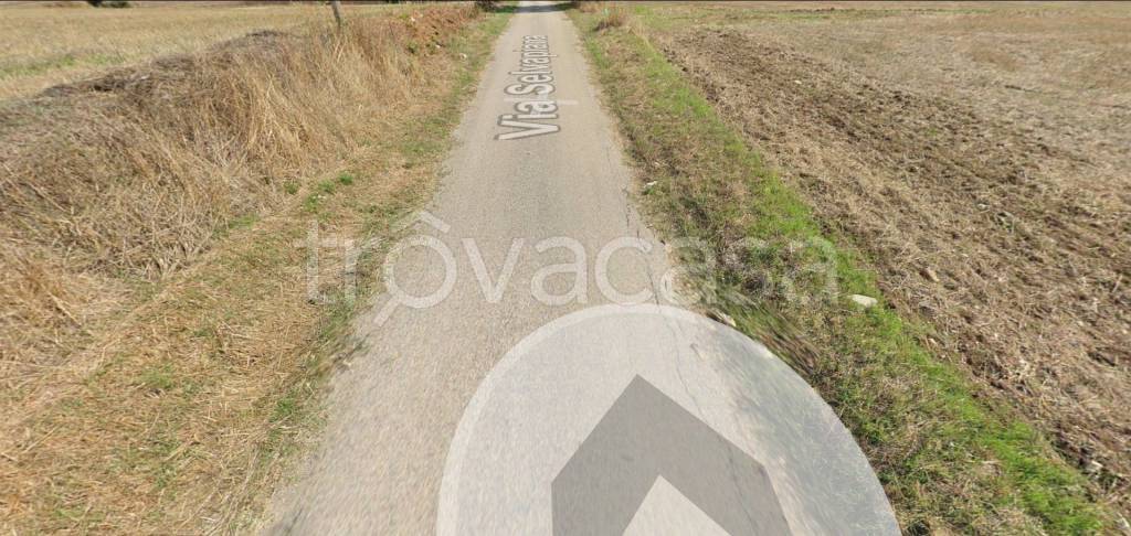 immagine annuncio 3 di 12